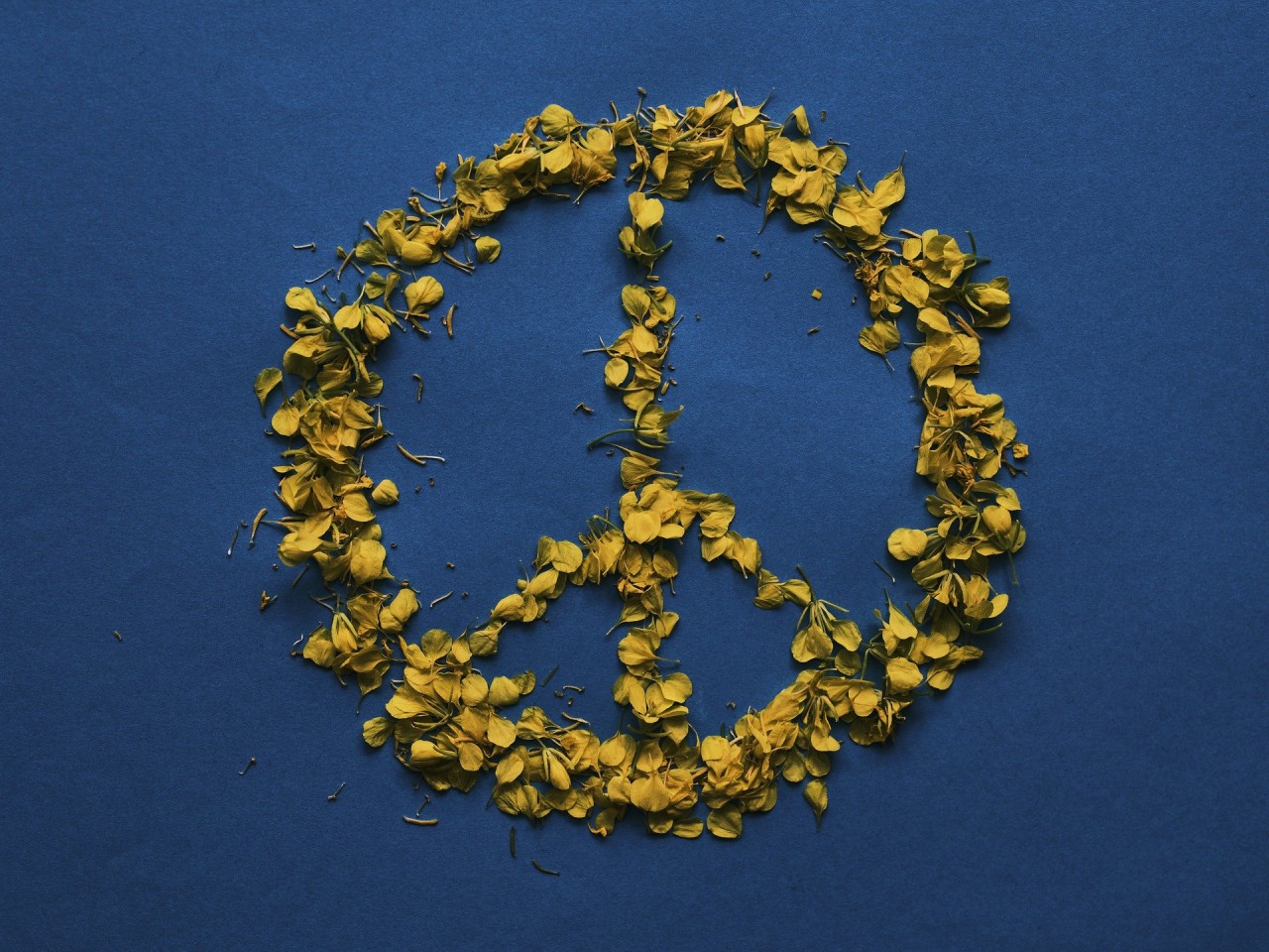 peace-g05c1a88af_1920