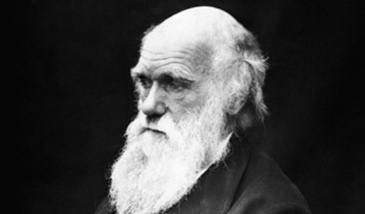 Darwin