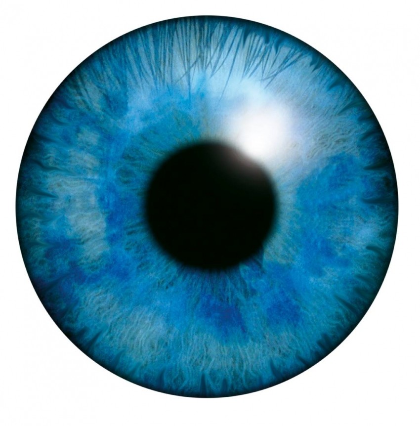 visionale